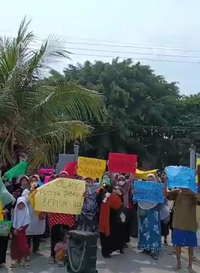 44WhatsApp Image 2024-10-04 at 07.11.57.jpeg